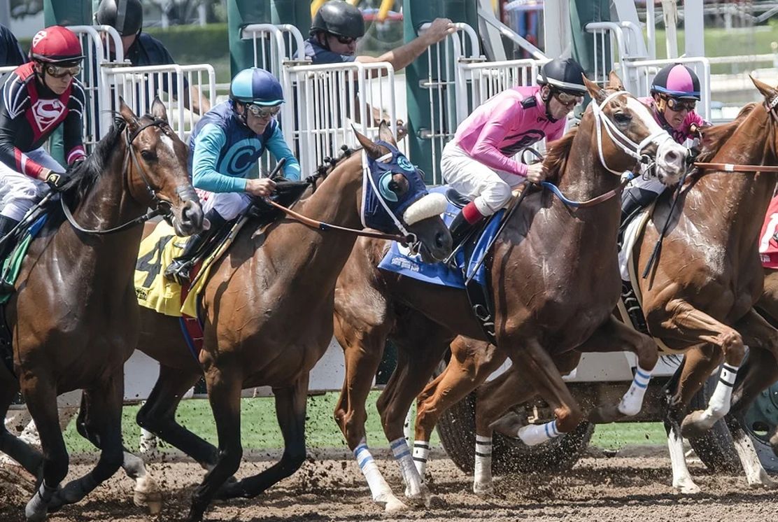 Top Picks for the Upcoming 2021 Pegasus World Cup | BETBLOG